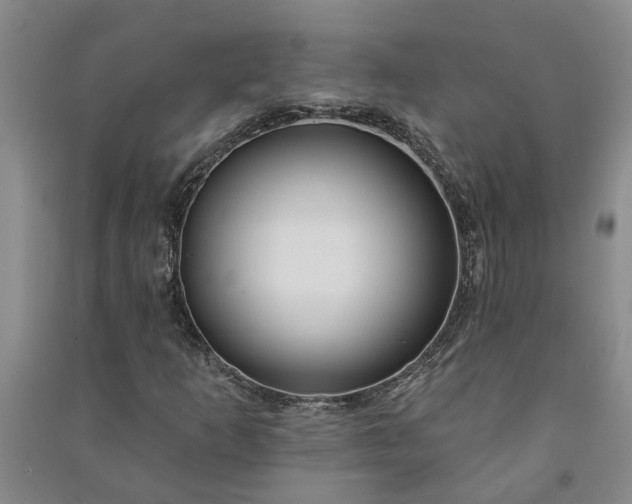 X0000090951253200708161749