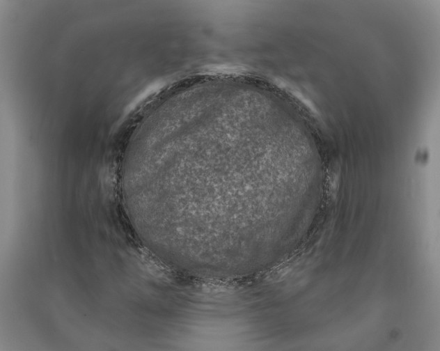 X0000090951254200708161749