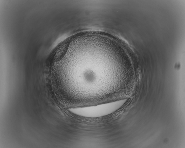 X0000090951255200708161749