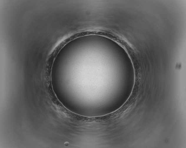 X0000090951256200708161749