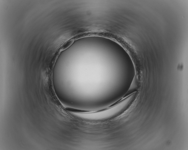 X0000090951257200708161749