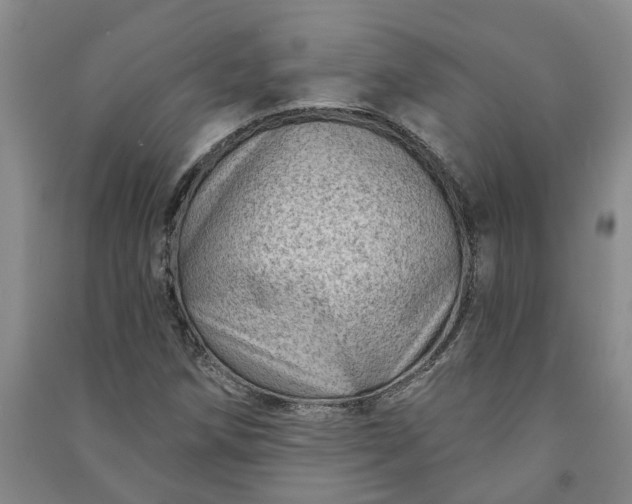 X0000090951258200708161749