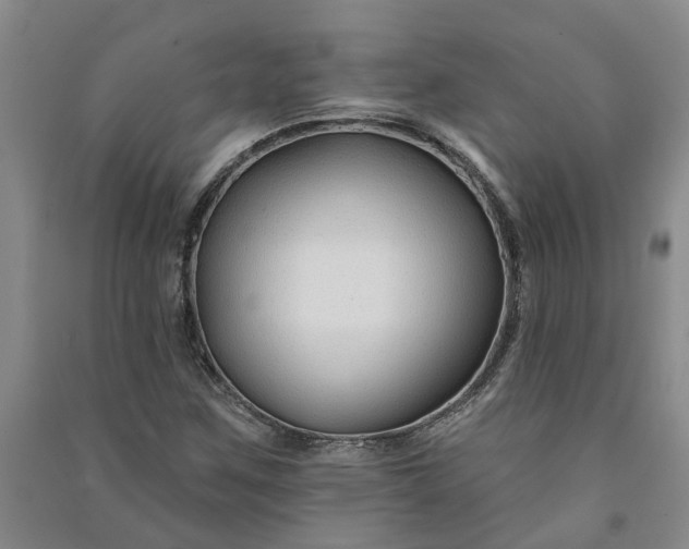 X0000090951259200708161749