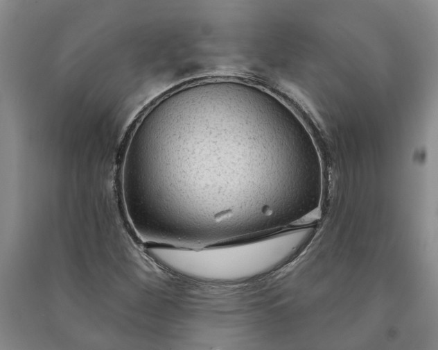 X0000090951260200708161749