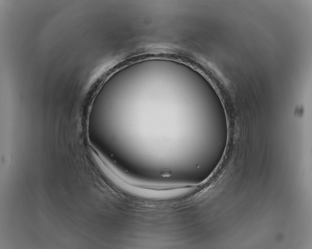 X0000090951261200708161749