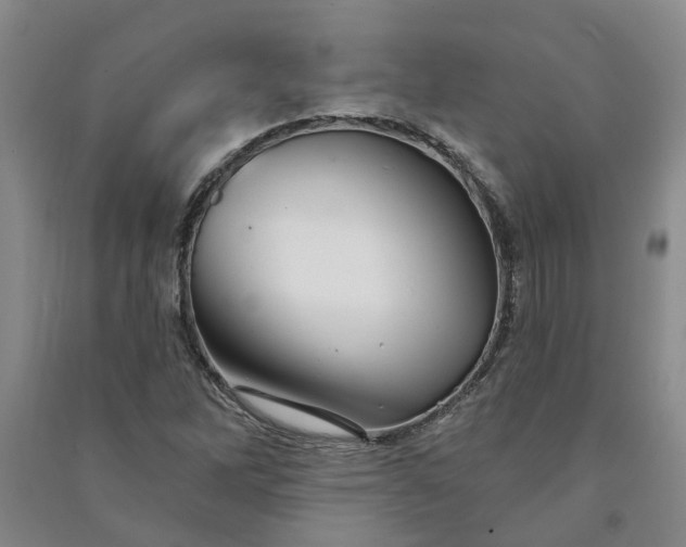 X0000090951262200708161749
