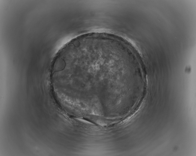 X0000090951263200708161749