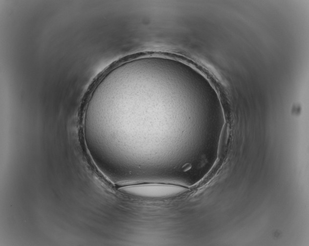 X0000090951264200708161749