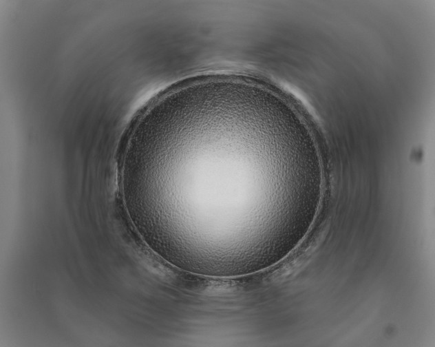 X0000090951267200708161749