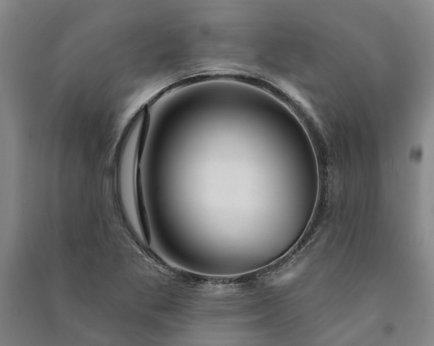 X0000090951269200708161749