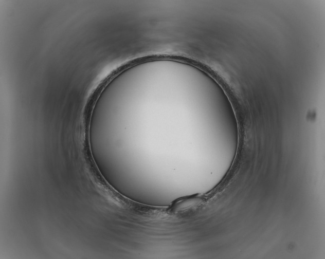 X0000090951270200708161749