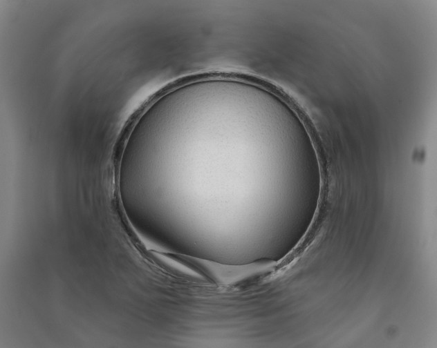 X0000090951271200708161749