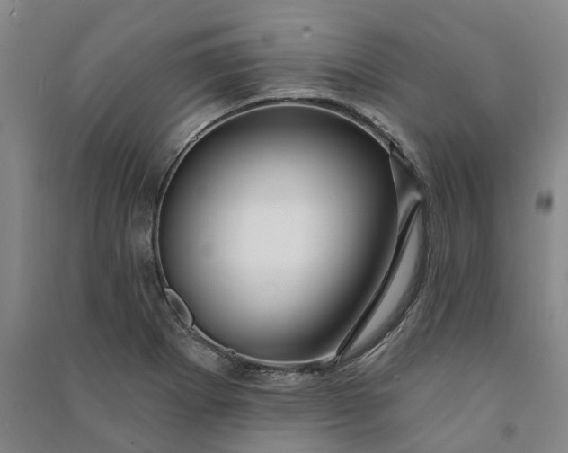 X0000090951273200708161749
