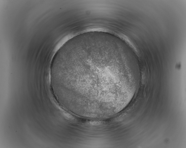 X0000090951274200708161749