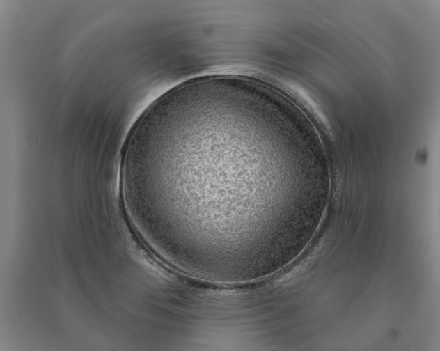 X0000090951276200708161749