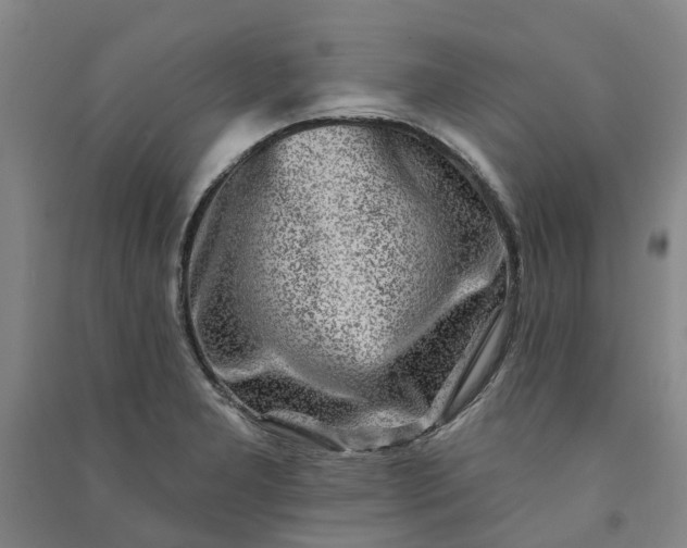 X0000090951277200708161749