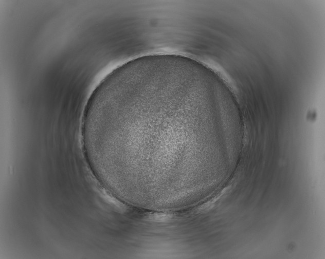 X0000090951278200708161749