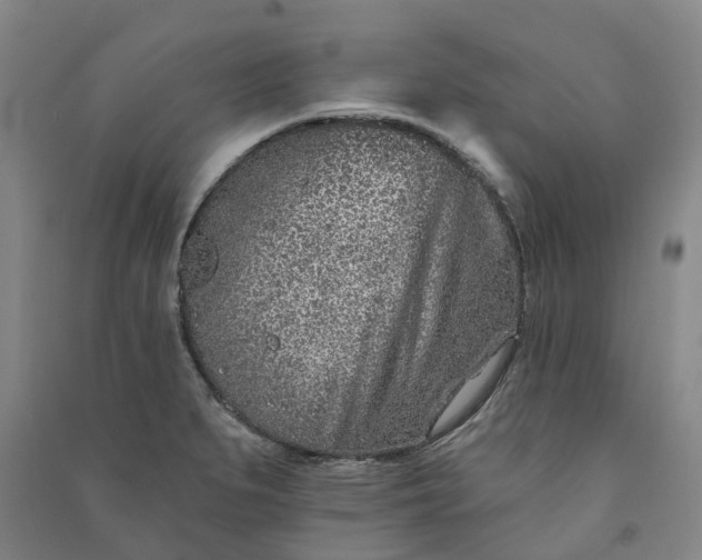 X0000090951279200708161749