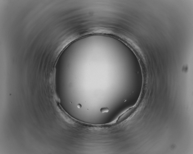 X0000090951281200708161748