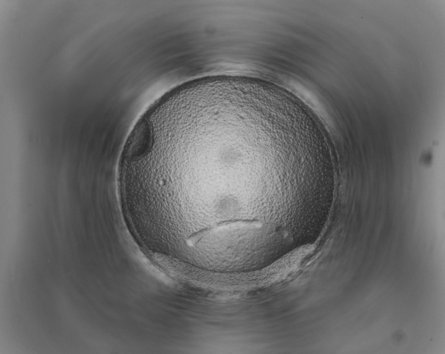 X0000090951283200708161748