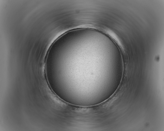 X0000090951284200708161748