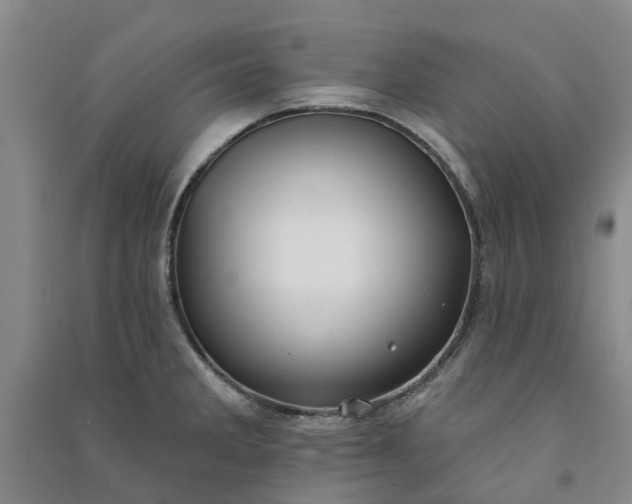 X0000090951285200708161748