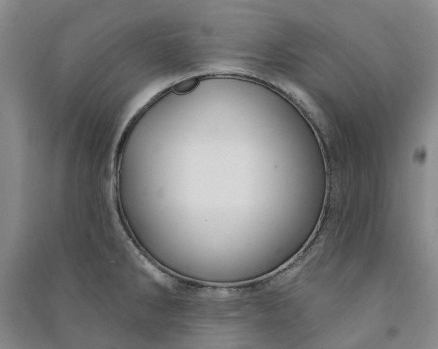 X0000090951286200708161748