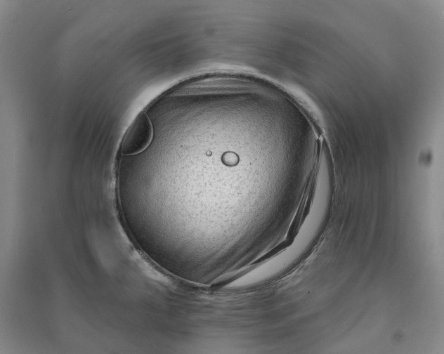 X0000090951287200708161748