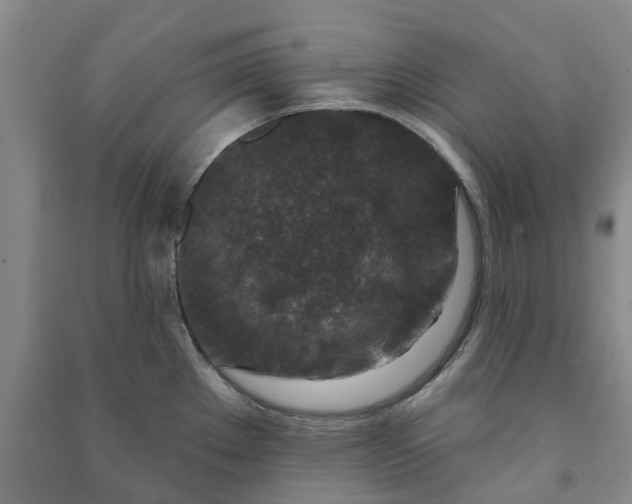 X0000090951289200708161748