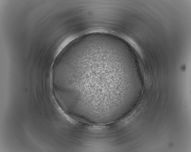 X0000090951290200708161748