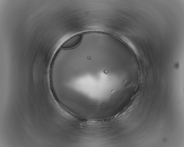 X0000090951291200708161748