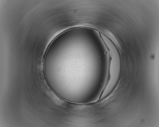X0000090951292200708161748