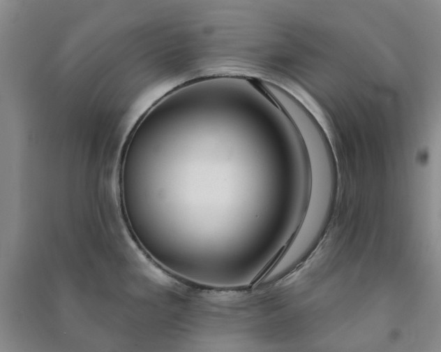 X0000090951293200708161748
