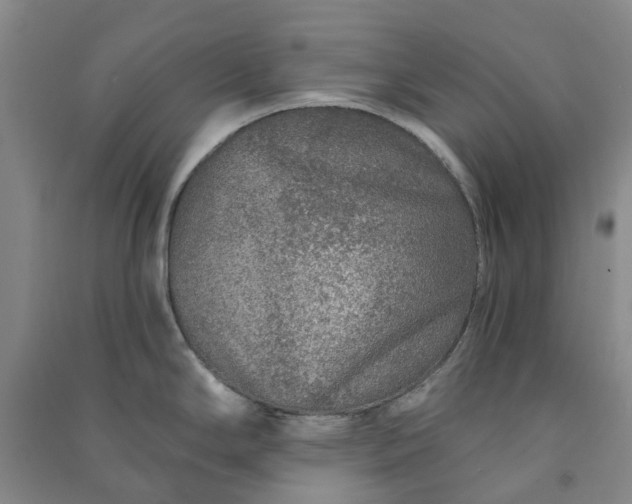 X0000090951294200708161748
