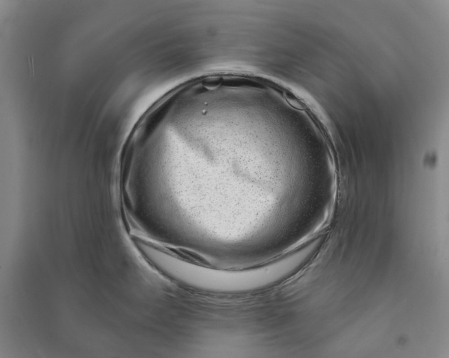 X0000090951295200708161748