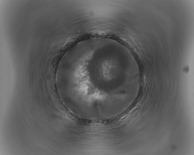 X0000090951297200708161748