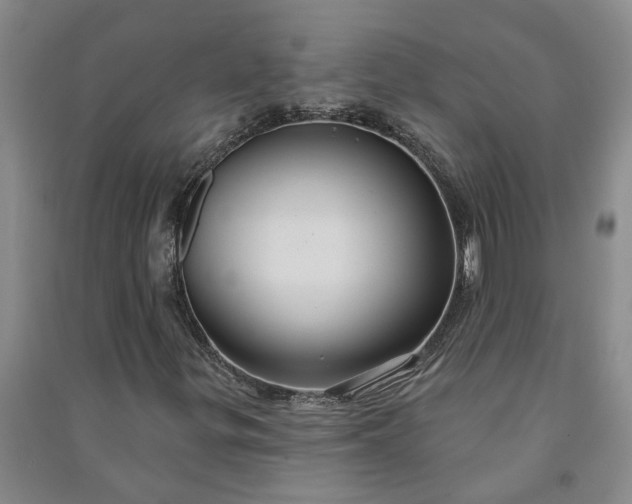 X0000090951299200708161748