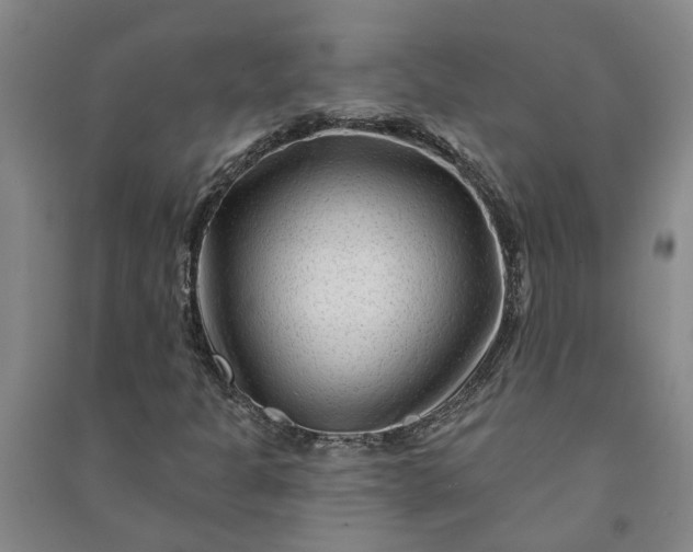 X0000090951301200708161748