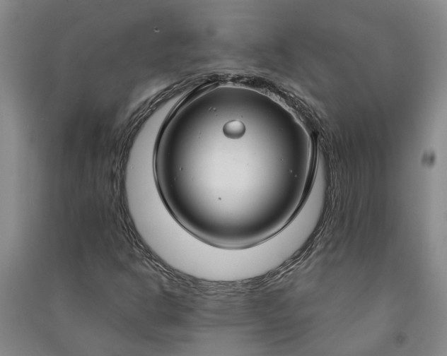X0000090951302200708161748