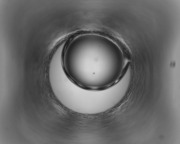 X0000090951304200708161748