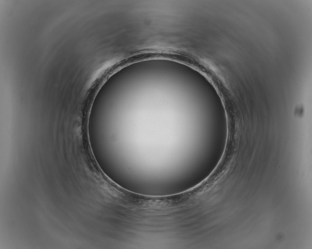 X0000090951307200708161748
