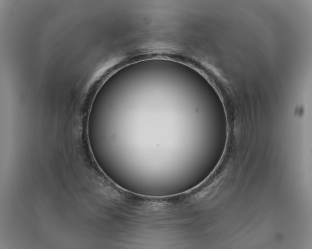 X0000090951309200708161748