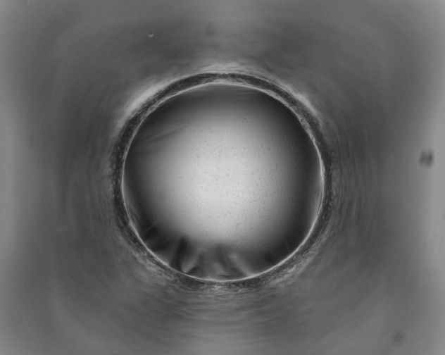 X0000090951311200708161748