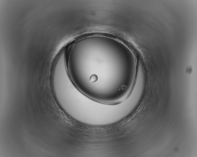 X0000090951312200708161748