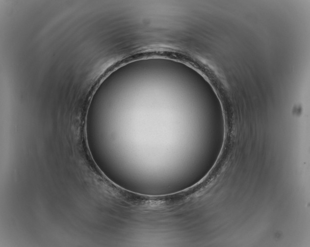 X0000090951313200708161748