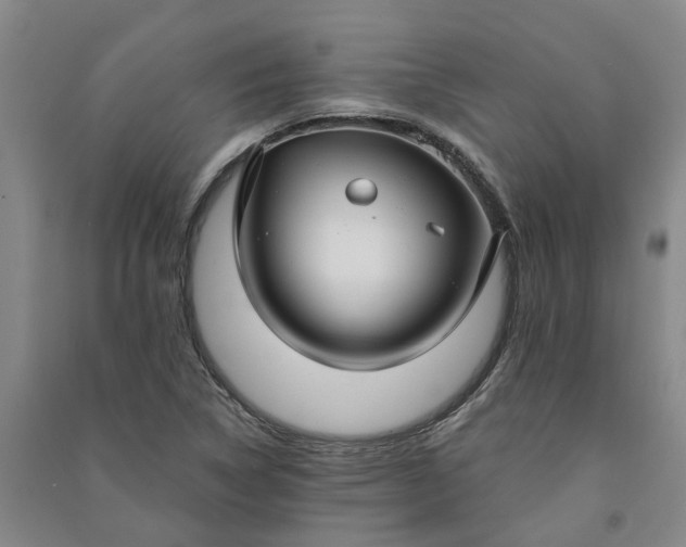X0000090951314200708161748