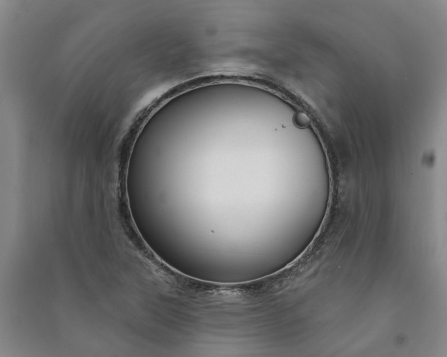 X0000090951315200708161748