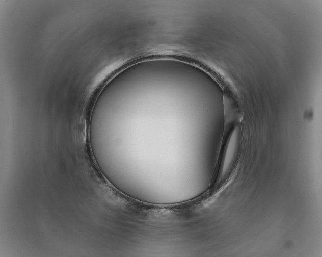 X0000090951317200708161748