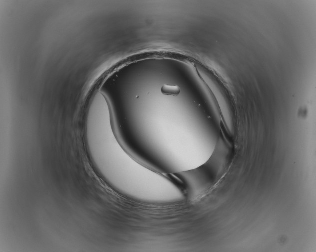 X0000090951318200708161748