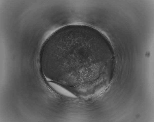 X0000090951319200708161748